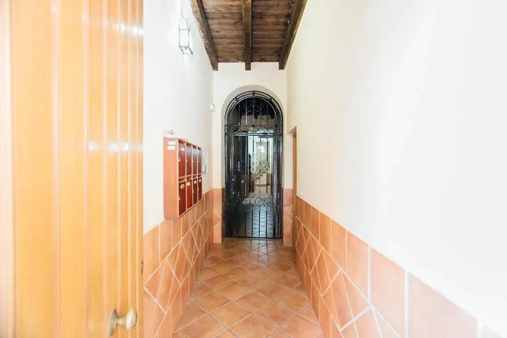 Precioso Apartamento En El Casco Antiguo De Triana Seville Spain